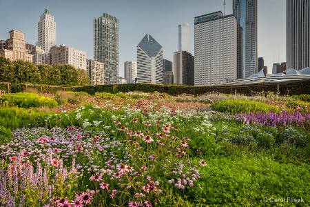 Chicago's Lurie Garden
