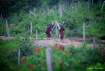 Return To Monaste...