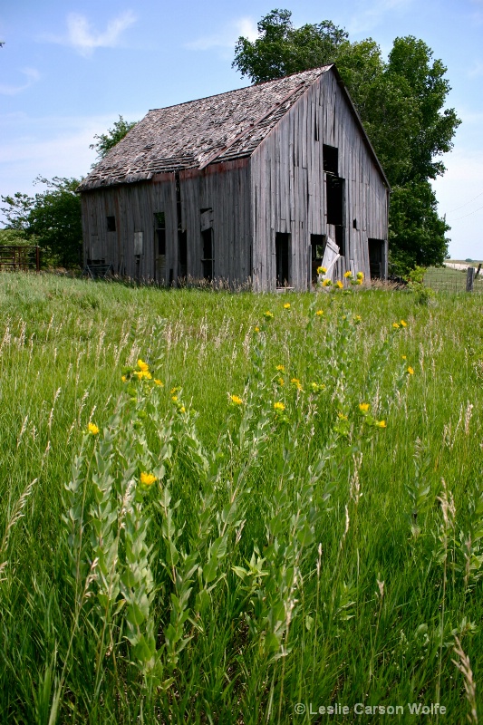 Weathered Barn on a Hot Summer Day