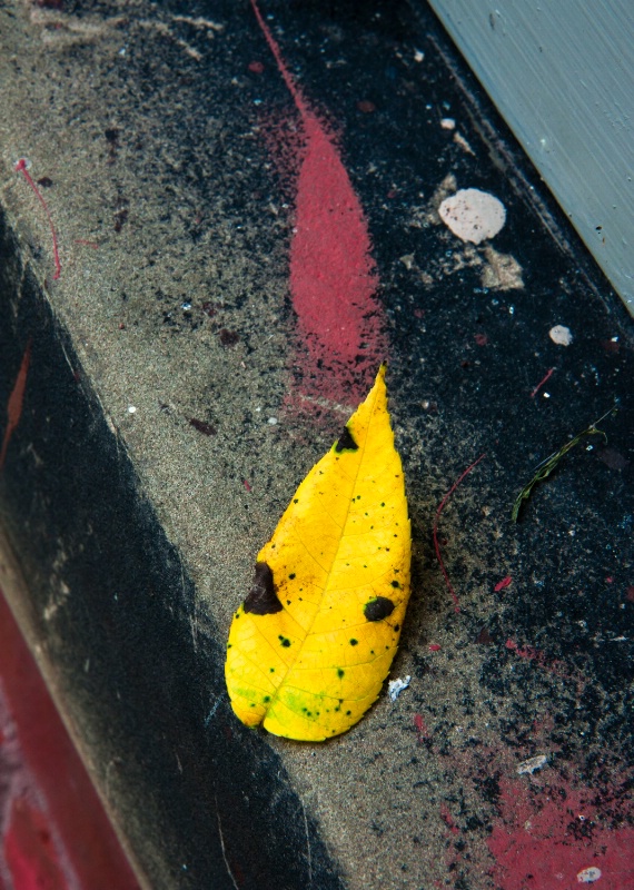 img9