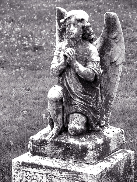 casimir angel  series - kneeling angel