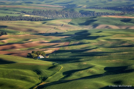 Palouse - Washington - Farms - #2