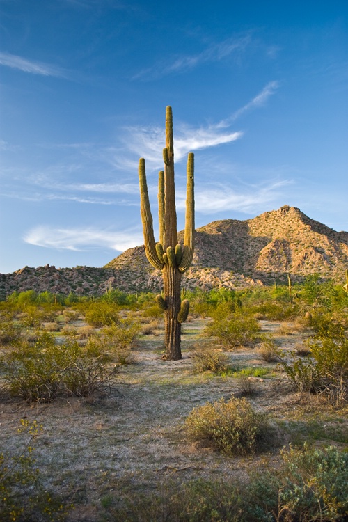 Sunset North Mountain