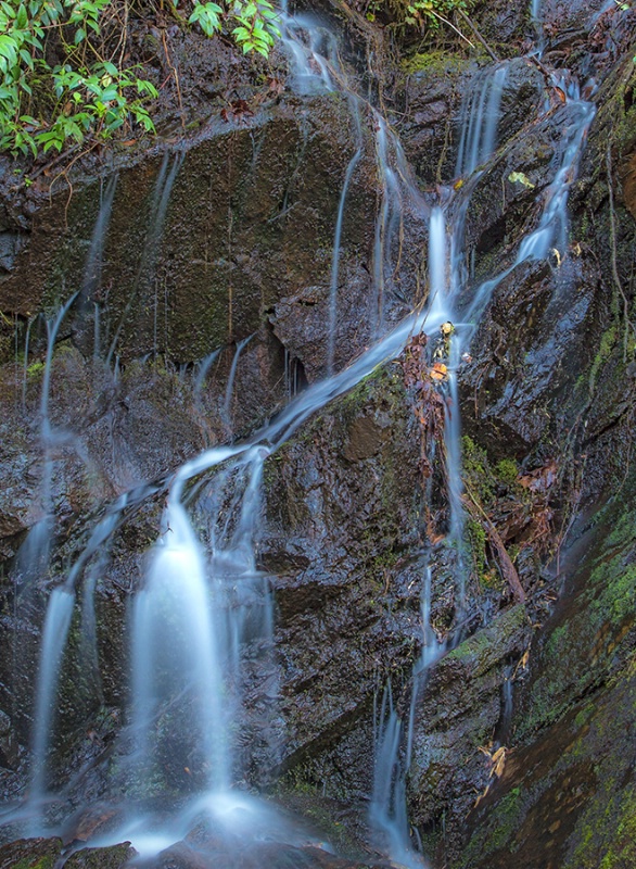 Roadside Waterfall  