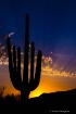 Six Finger Sunset