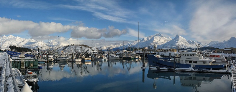 Valdez Winter Harbor Pan