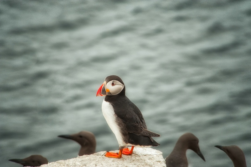 Against the tide