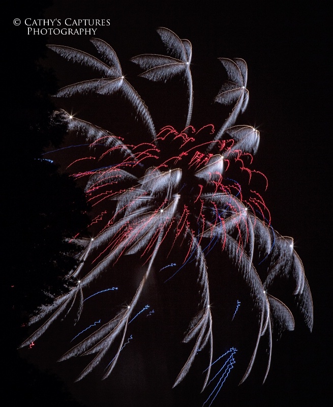 ~Spider Fireworks~
