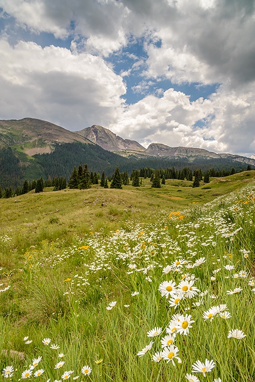 Summertime Along The Pass