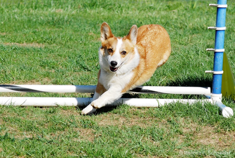 img20