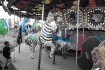 County Fair
