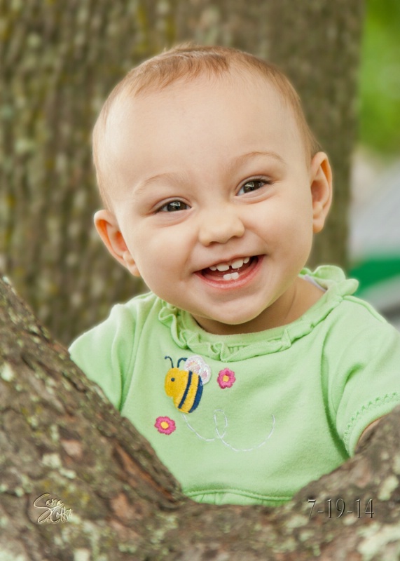 in the tree tops...