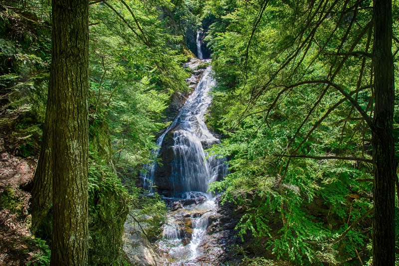 Vermont Summer Waterfall