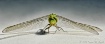 Landing Gear