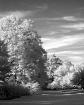 The Glen