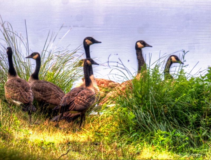 FAMILY GATHERING