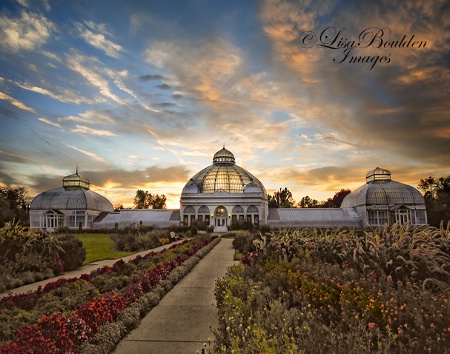 Botanical Garden Light