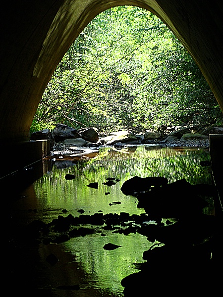 Lehigh Gorge State Park - Poconos, PA - Tunnel3