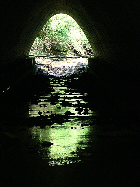 Lehigh Gorge State Park - Poconos, PA - Tunnel2
