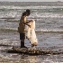 © Elliot Barnathan PhotoID# 14586754: Fisherman