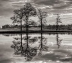 Reflections