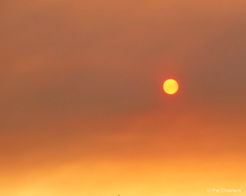 Bushfire sun