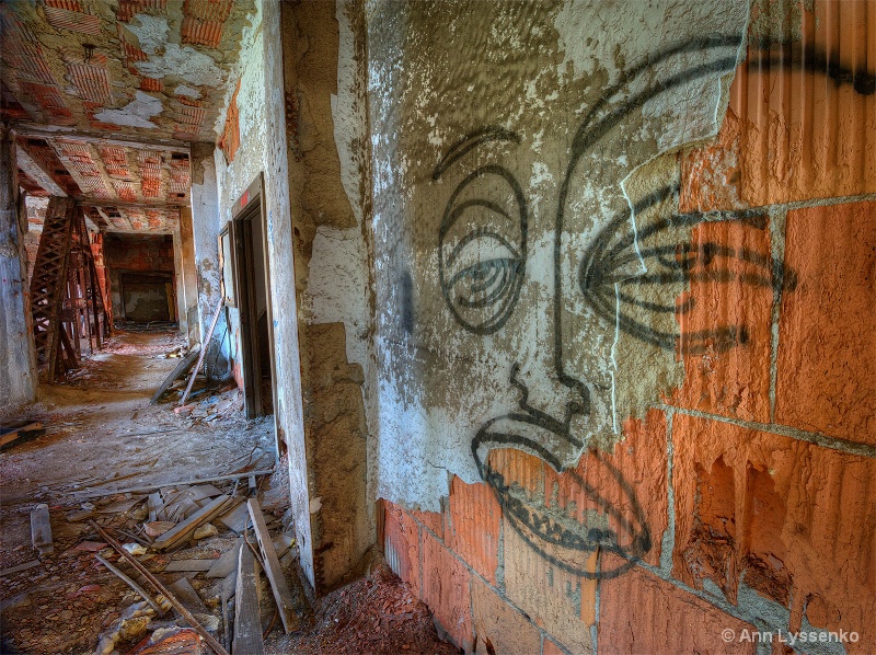Just a Face on the Wall - ID: 14587782 © Ann Lyssenko