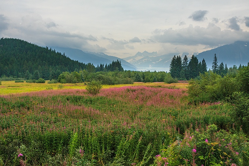 Alaska's Beauty