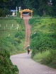 On The Way To Hom...