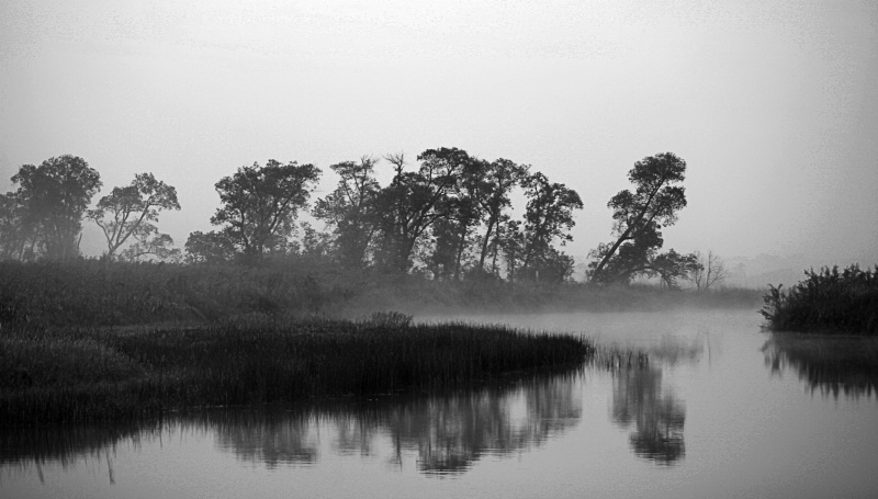 Morning Fog along the river