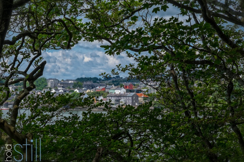 Peek at Kinsale Harbor