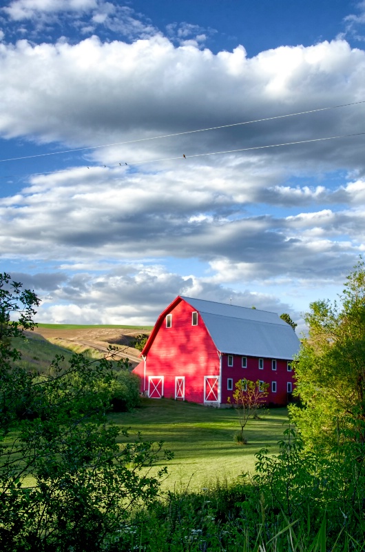 Palouse country red barn 1