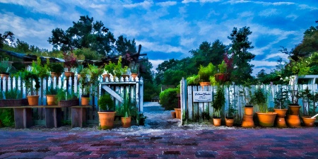 Flower Pots, Williamsburg, VA