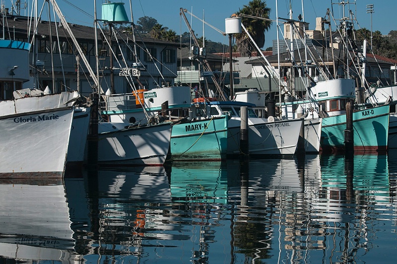 Santa Barbara Commercial Fishing Fleet