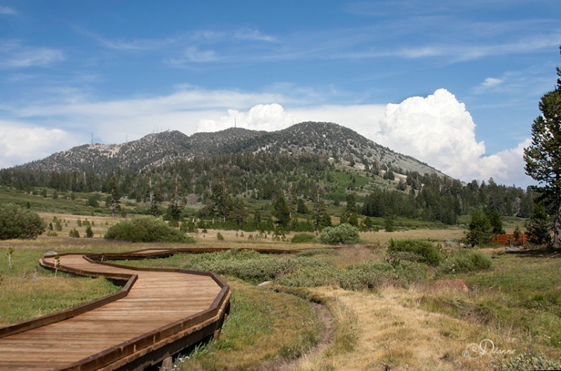 Mt. Rose Hike