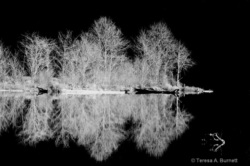 Winter On The Lake