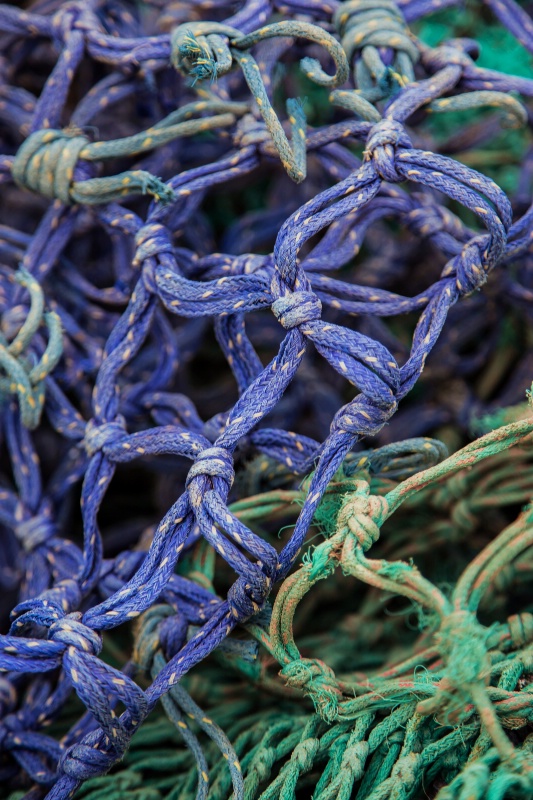 Sea Ropes