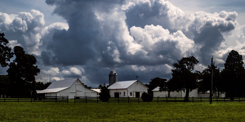 Storm's Brewing, Chippokes Plantation, VA