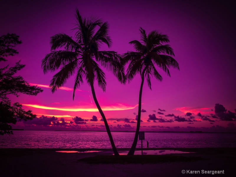 Twin Palms Sunset