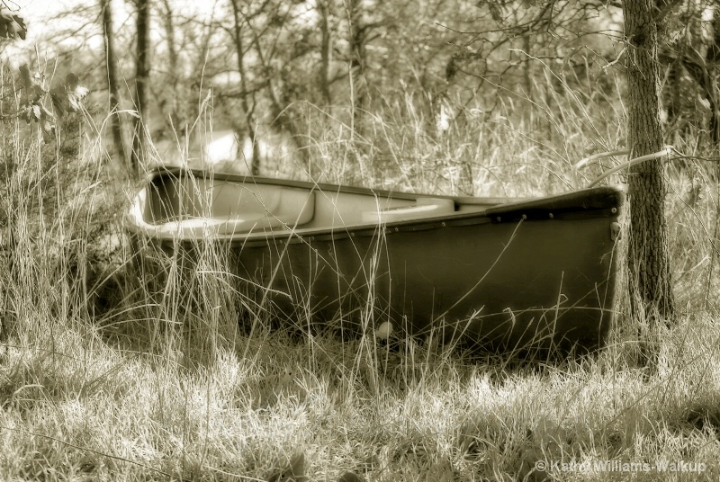 Hidden Boat