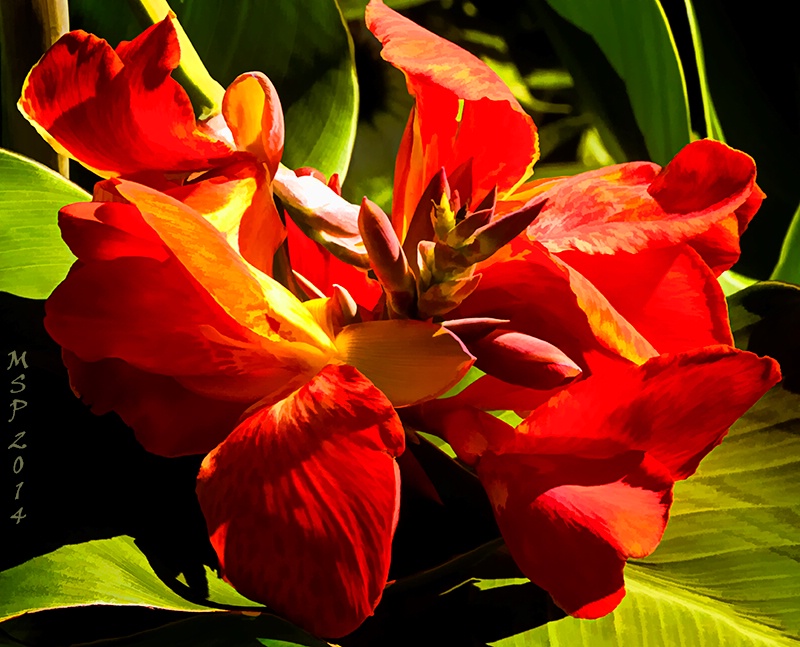Red With A touch Of Yellow And Green