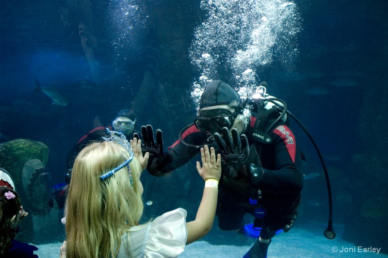 The Diver and the Princess