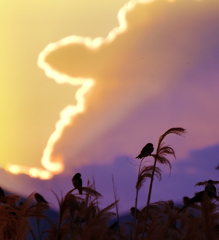 Dusk