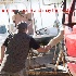 © Cindy J. Hiles PhotoID # 14617656: 20140812-0f9a4973-edit