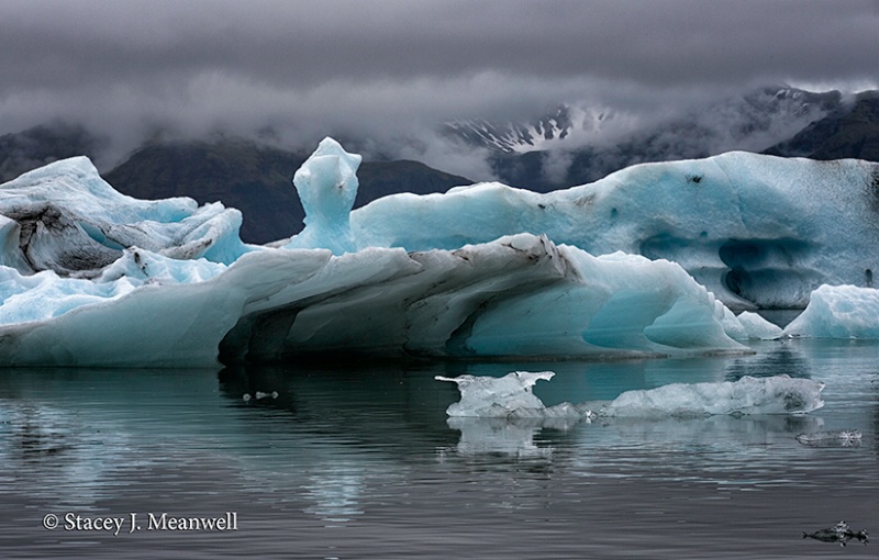 Jokulsarlon Glacial Lagoon, Iceland - ID: 14618761 © Stacey J. Meanwell