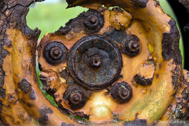 Rotted Wheel