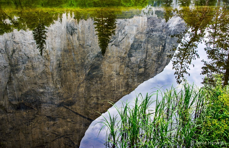 Reflections:  Rockface and Trees