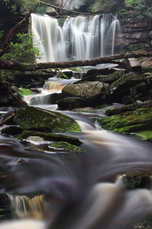 Summer at Elakala Falls