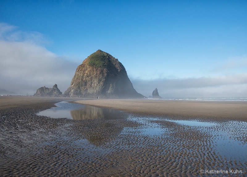 Misty Morning