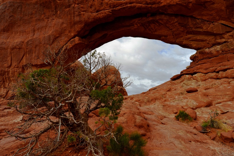 Arches National Park